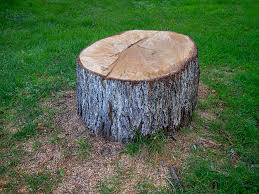 Best Stump Grinding and Removal  in Piru, CA