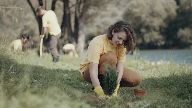 Best Lawn Pest Prevention  in Piru, CA