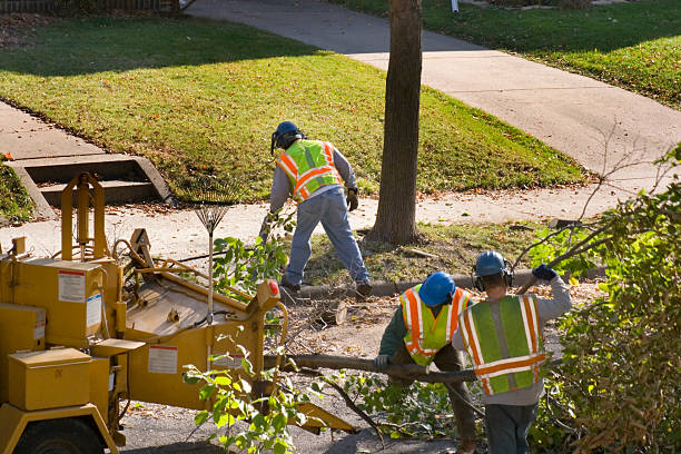 Best Utility Line Clearance  in Piru, CA
